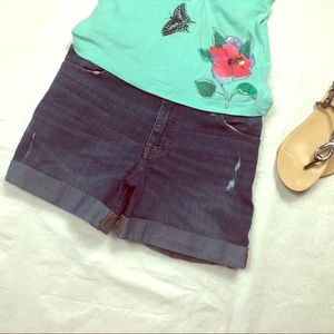 Apt. 9 Distressed Jean Shorts Size 14